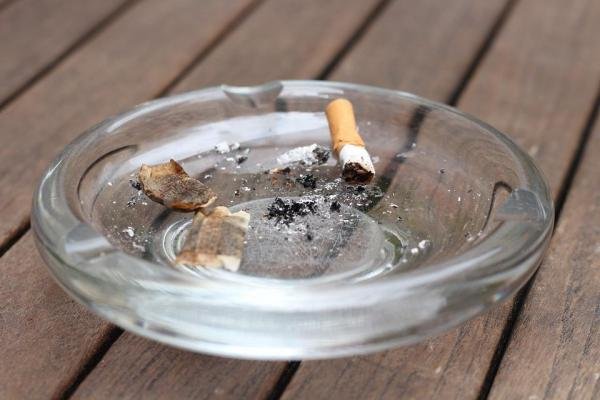 10 coisas comuns que podem matar o seu gato - 5. O fumo do tabaco