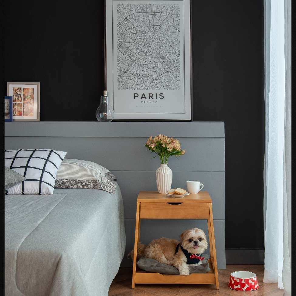 móveis pet friendly