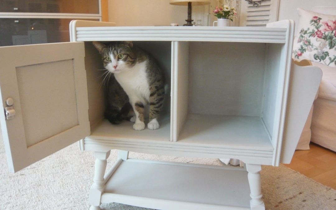 ARQUITETURA PARA ANIMAIS, DICAS DE MÓVEIS