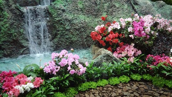 Foto tirada na Feira das flores realizada em setembro no Parque. - Parque Edmundo Zanoni, Atibaia - Tripadvisor