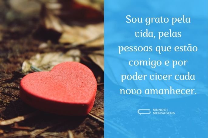 Sou grato pela vida, pelas pessoas que estão comigo e por poder viver cada novo amanhecer.