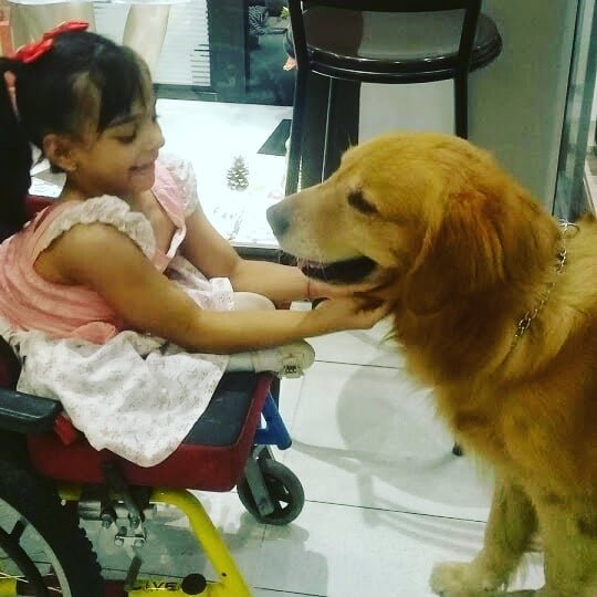 Andar este é o sonho de Sara…vamos juntos neste sonho