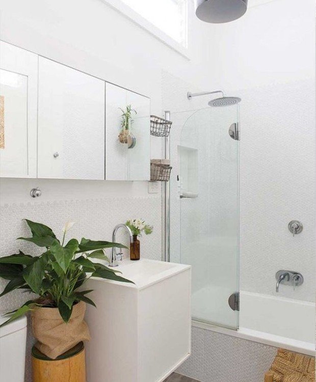 Os lírios-da-paz florescem mesmo sem muita luz (Foto: Pinterest/ Reprodução)