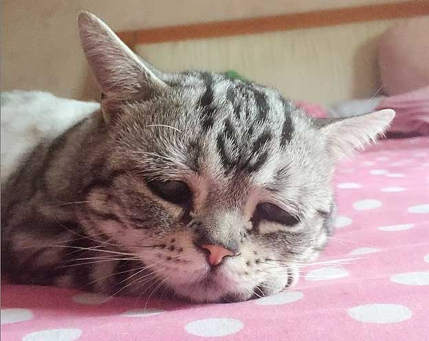 Ver a imagem de origem