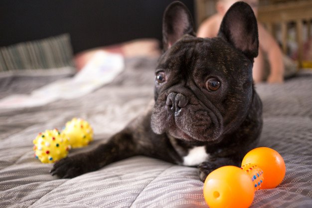 Ver a imagem de origem