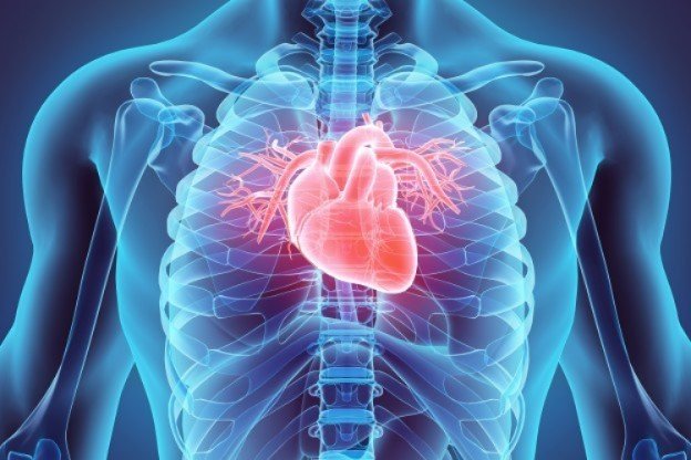 Slide 8 de 8: Os pimentões e pimentas verdes são ricos em vitaminas A e C, que são valiosas para fortalecer as paredes do músculo cardíaco. O calor desenvolvido pela pimenta aumenta o fluxo sanguíneo por todo o corpo, reduzindo a pressão arterial.