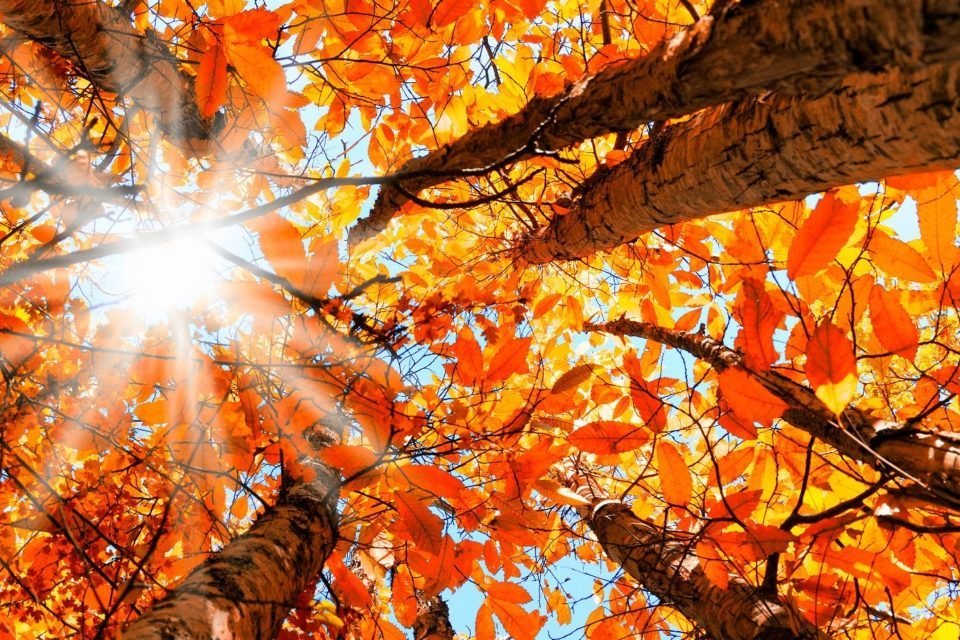 5 cuidados com o corpo que devemos ter no Outono