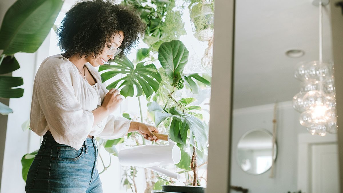 8 DICAS DE JARDINAGEM PARA INICIANTES…