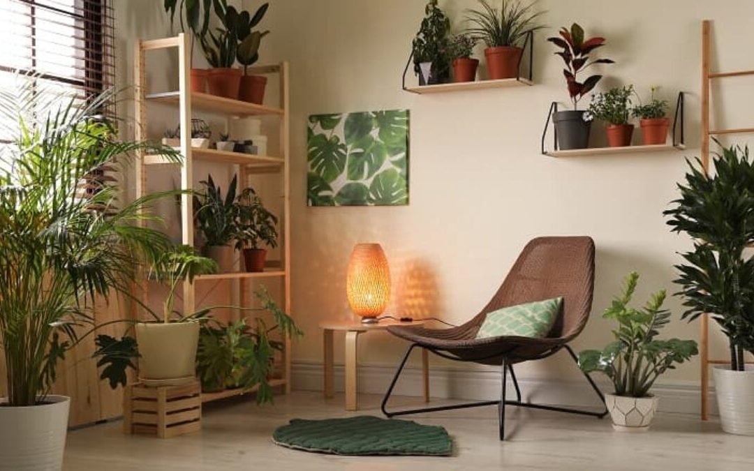 Plantas para apartamento pequeno: 10 dicas essenciais para utilizá-las