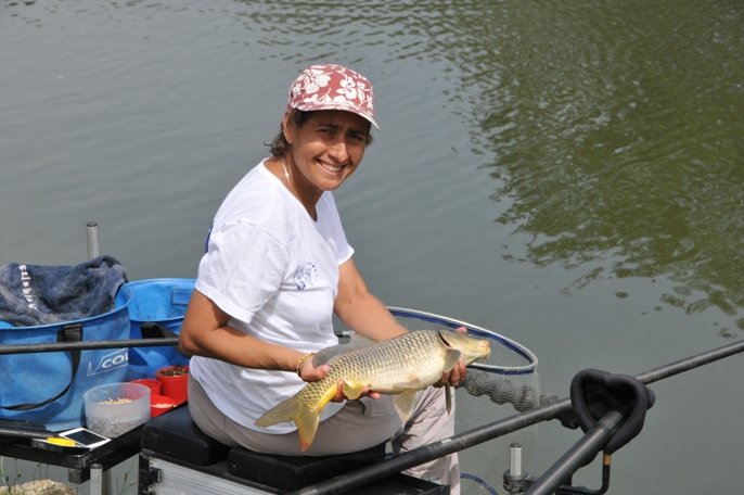 Ver a imagem de origem