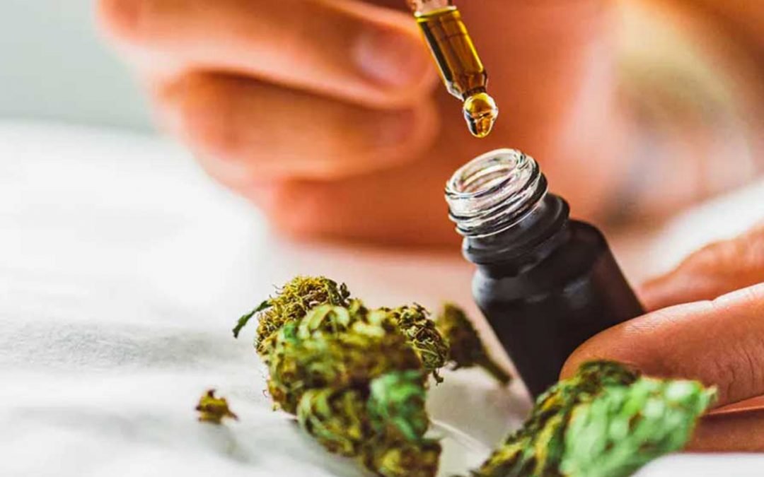 Óleo CBD: o que é, como usar e o que procurar ao comprar.