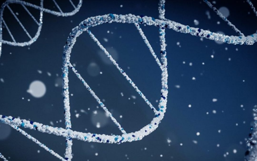 A cultura organizacional da sua empresa reflete o seu DNA