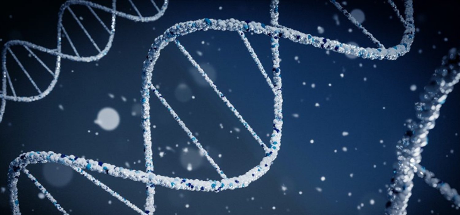 A cultura organizacional da sua empresa reflete o seu DNA