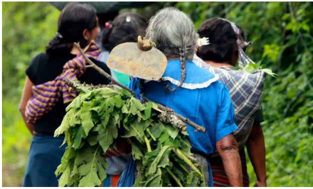 Não existe desenvolvimento sustentável sem igualdade de gênero
