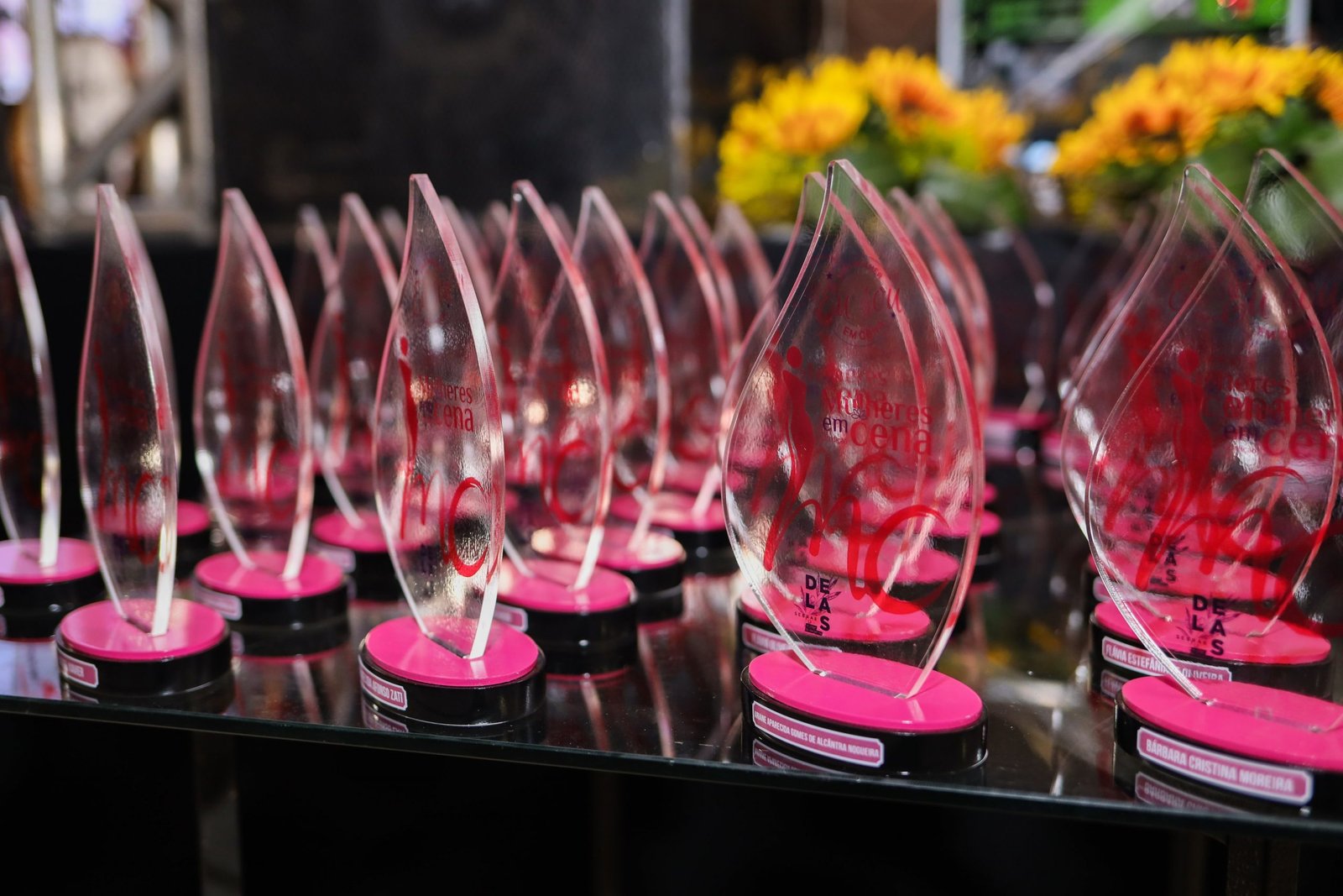 Mulheres em Cena 2022