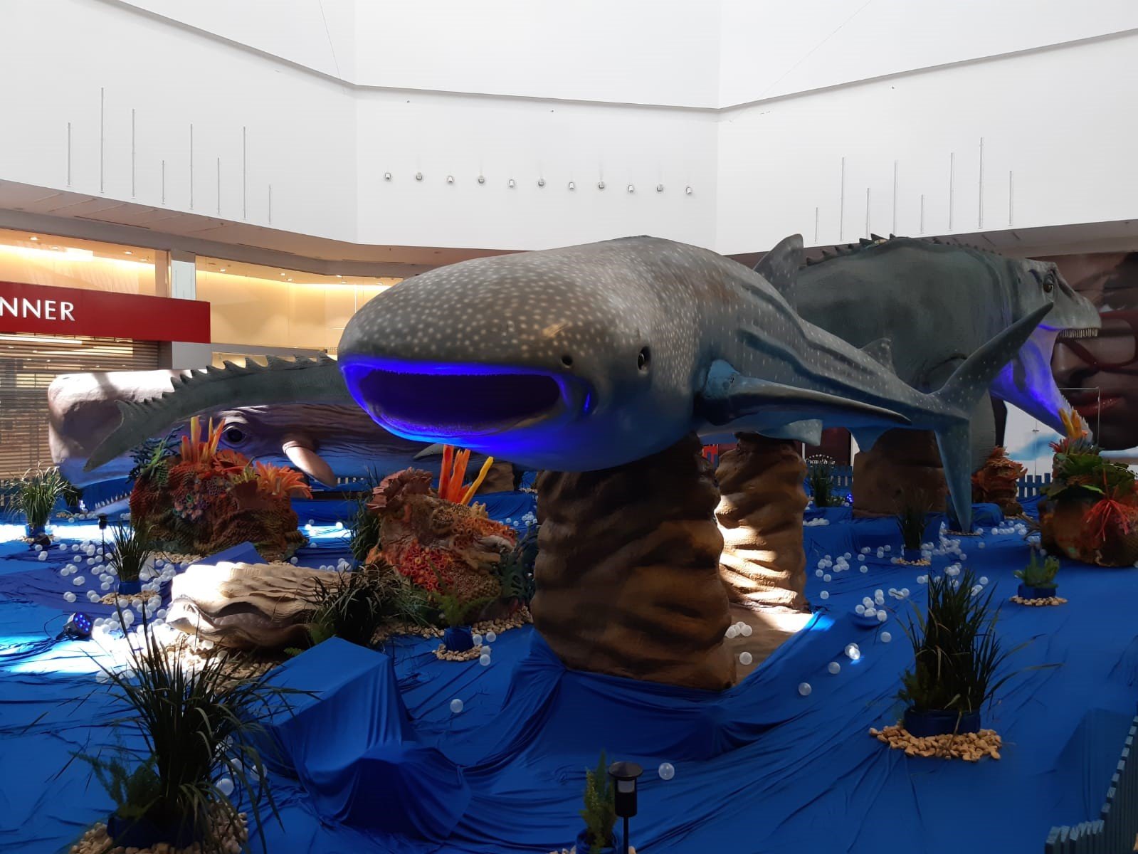 Via Café Garden Shopping é invadido por animais marinhos