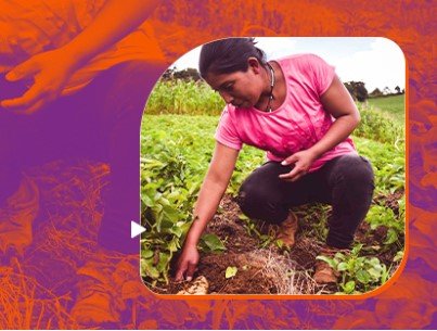 Não existe desenvolvimento sustentável sem igualdade de gênero