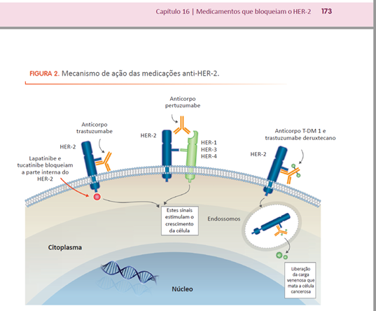 Mecanismo de medicação