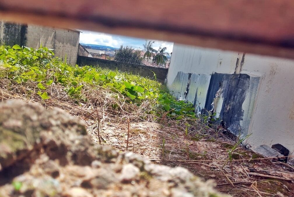 Terreno em que a aparição do ET teria ocorrido em Varginha (MG) há 27 anos — Foto: Franco Junior/g1