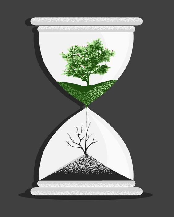 DIA MUNDIAL DO MEIO AMBIENTE E DIA DA ECOLOGIA!!